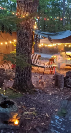 An rv in one of our large rv sites.