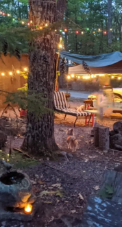 An rv in one of our large rv sites.