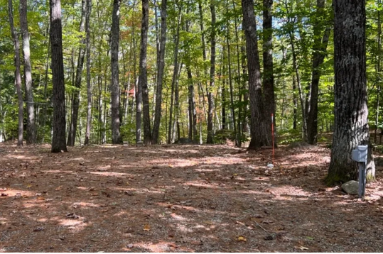 One of our full hook up rv sites.