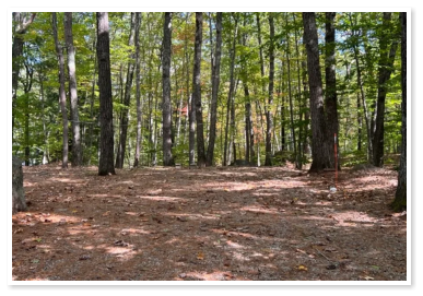 One of our very large RV sites.