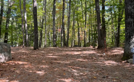 This is one of our large rv sites