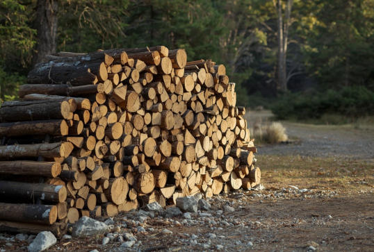 We have firewood for sale for our guests.